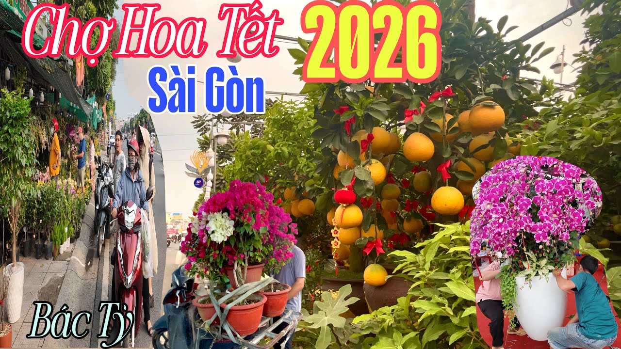 Tấp Nập Chợ Hoa Tết Sài Gòn 2026 | Cúc Lạ Giá Rẻ “ Bùng Nổ “ Lan Hồ Diệp Bưởi Bạc Tỷ 