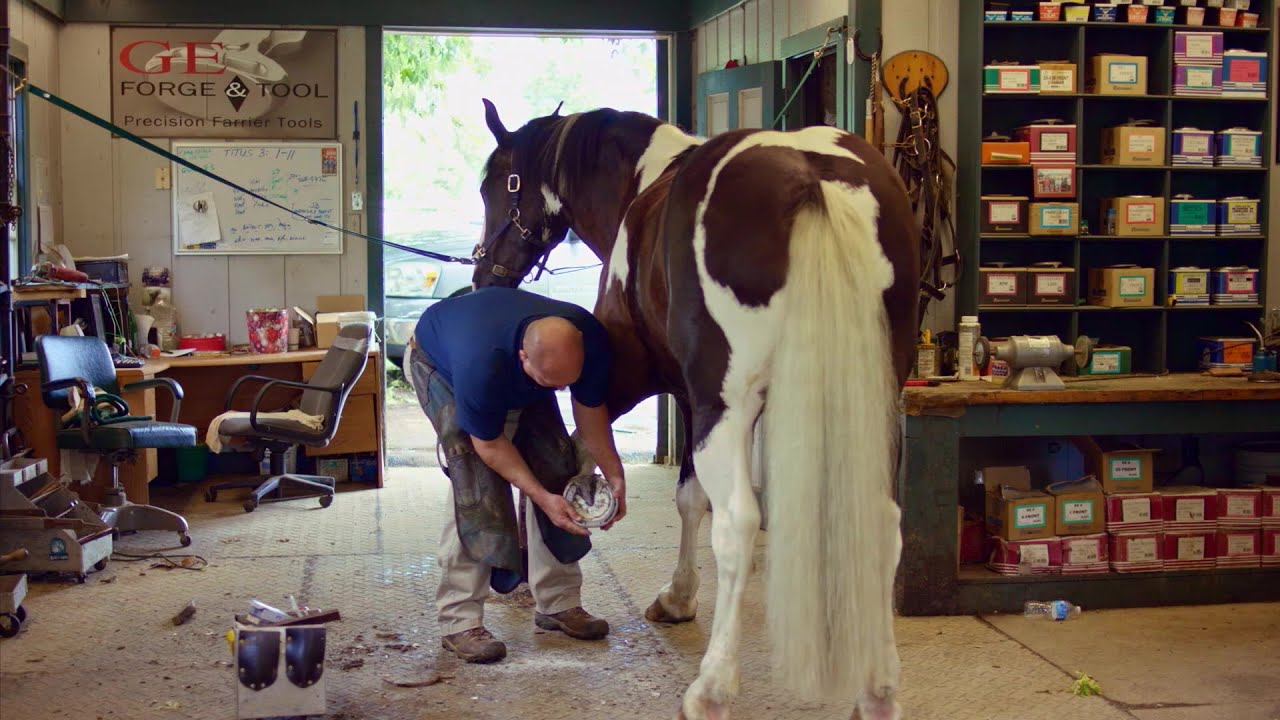 Kentucky Horse Park | Behind The Gait | A Kentucky Original Series