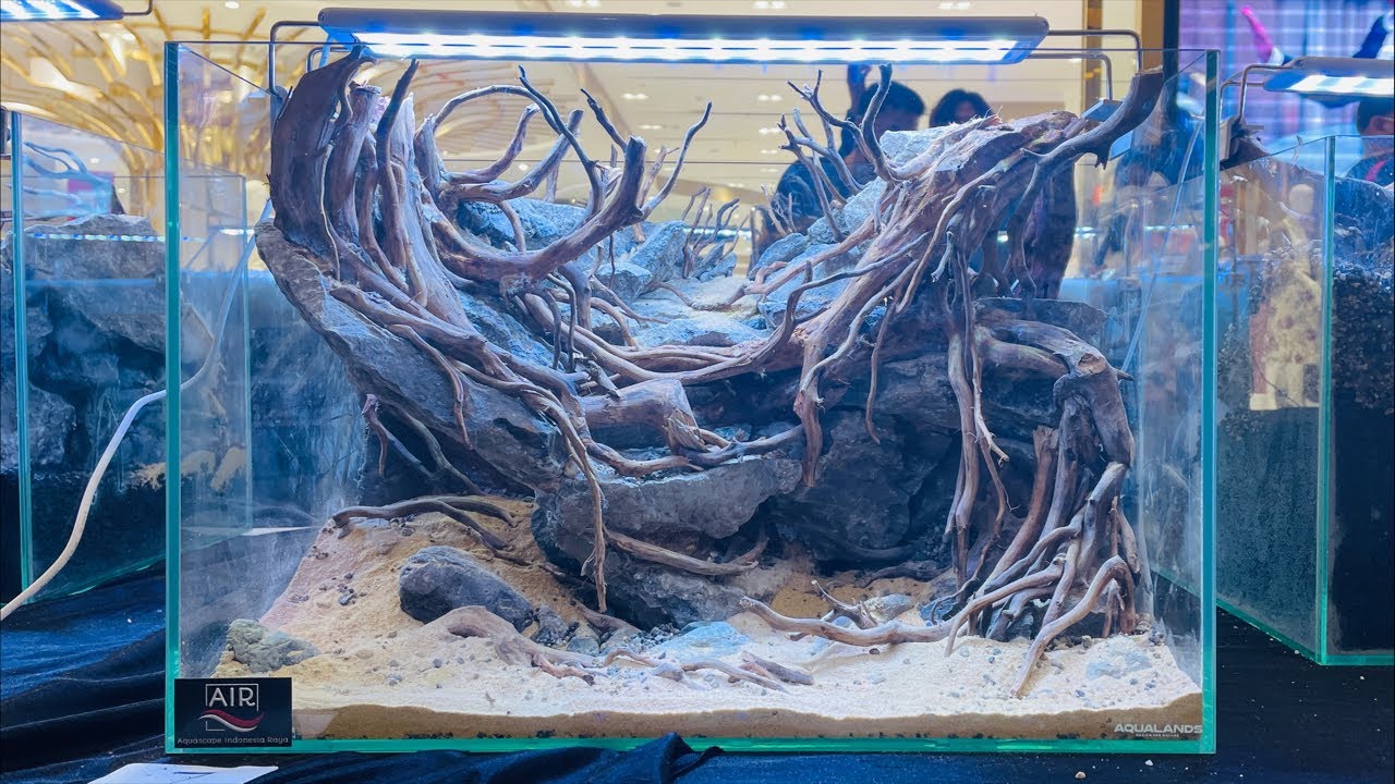 🔴 [LIVE] AQUASCAPE INDONESIA RAYA 2021 KONTES - Penjurian Hardscape Battle