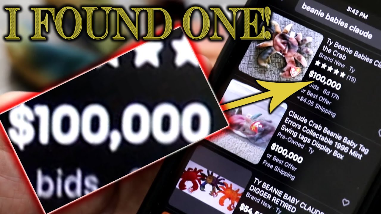 Rare Beanie Babies Possible $100,000 in Yard Sale Treasures Found