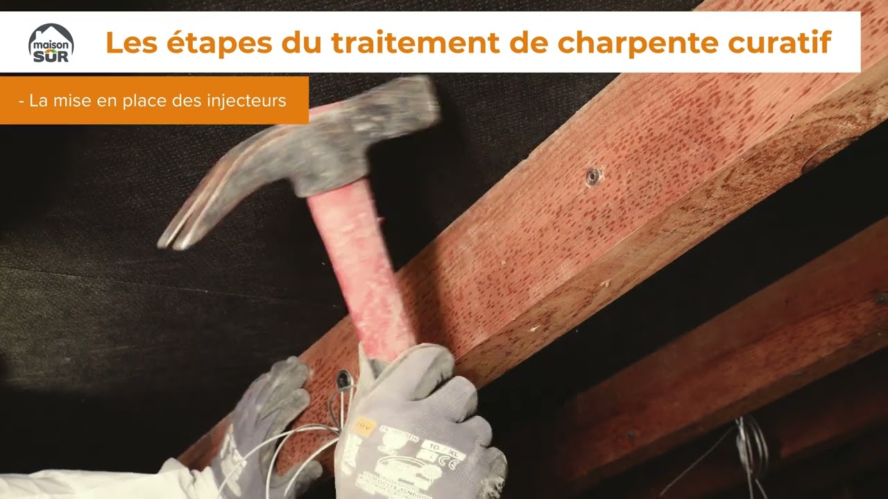 Traitement de charpente curatif : protéger votre maison contre les nuisibles