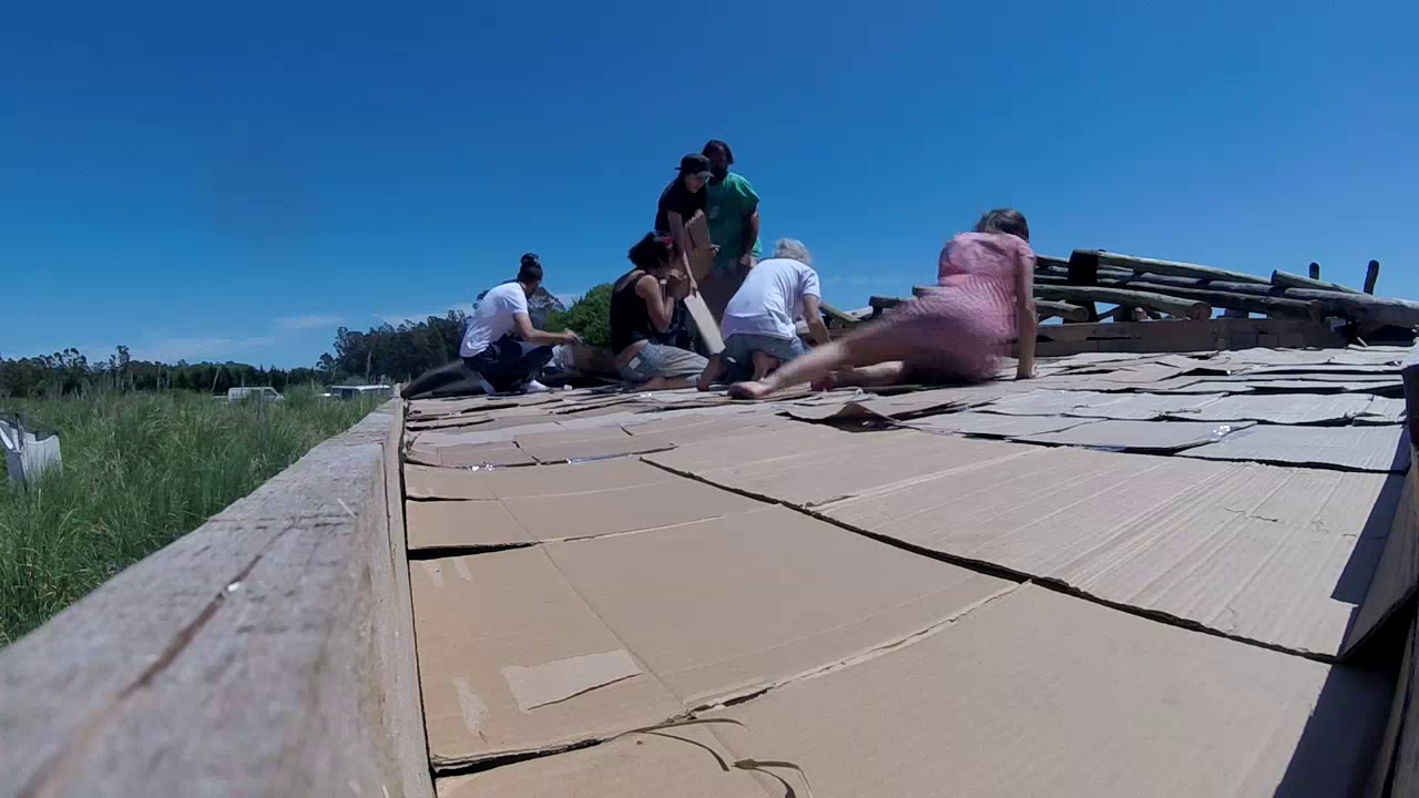 Capas de techo vivo
