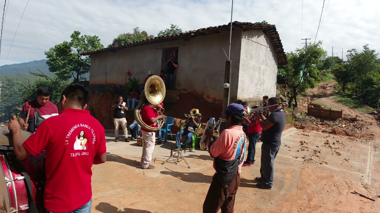 Banda Tilape&ntilde;a de Tilapa GRO