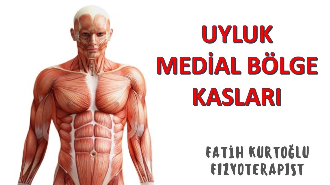 Uyluk Medial Kasları | KAS ANATOMİ si KONU ANLATIMI -10