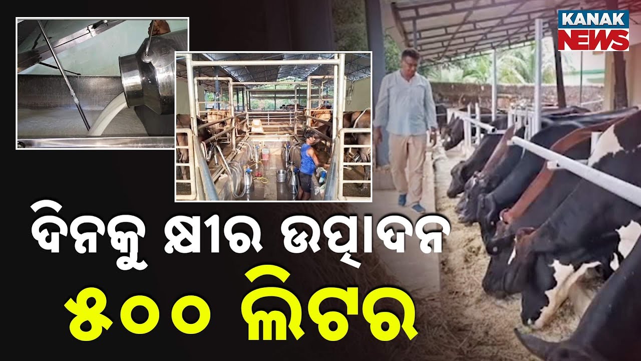 Bazaar Halchal: MBA Graduate Turns Dairy Farmer | Producing 500 Litres of Milk Daily & Earning Big