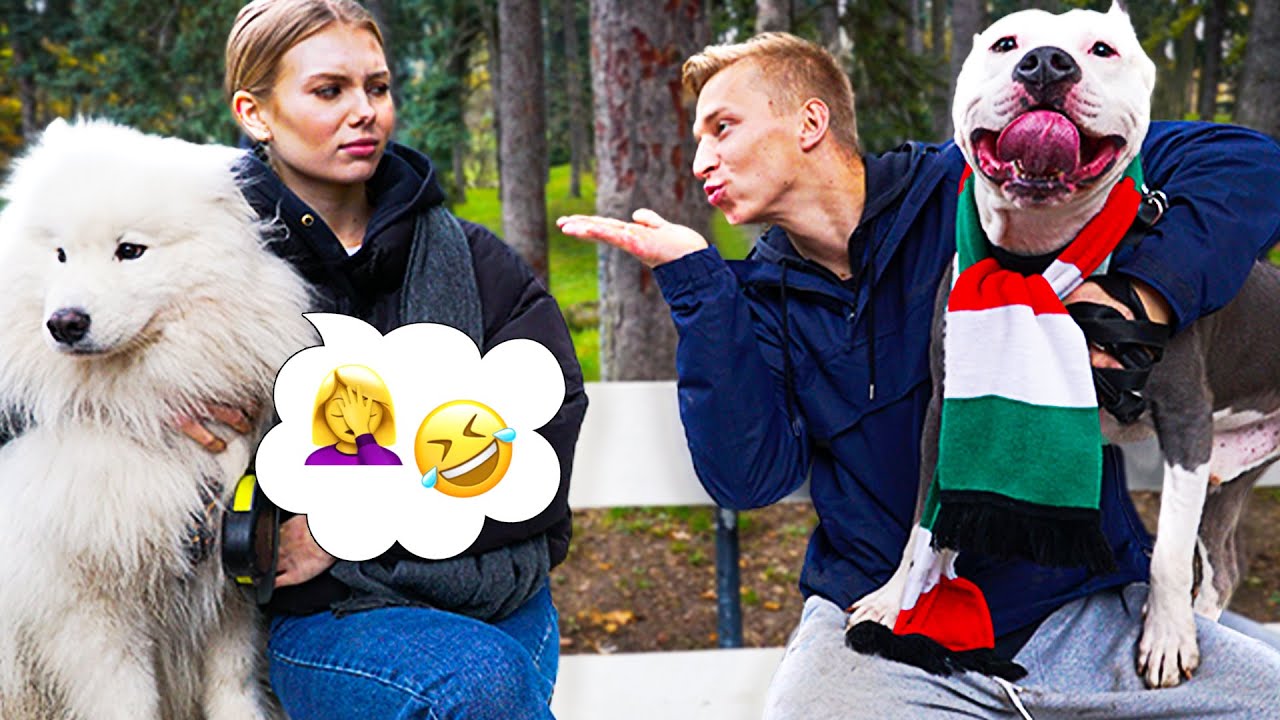 Co m&oacute;wią: GROŹNE PSY