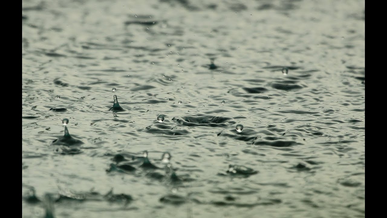 Le sorgho attend la pluie