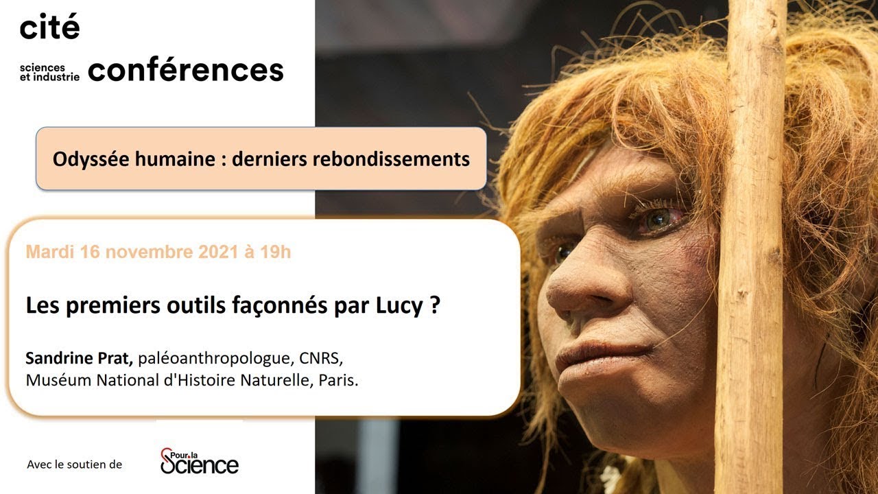 Les premiers outils façonnés par Lucy ?