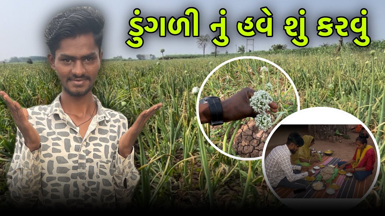 ડુંગળી નું હવે શું કરવુ 😮 | સાંજે બહાર જમવાનું થયું | 