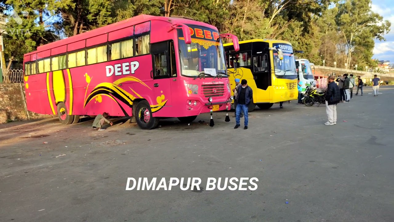 Shillong to Tura Night Bus | POLO Bus Station | Network Bus