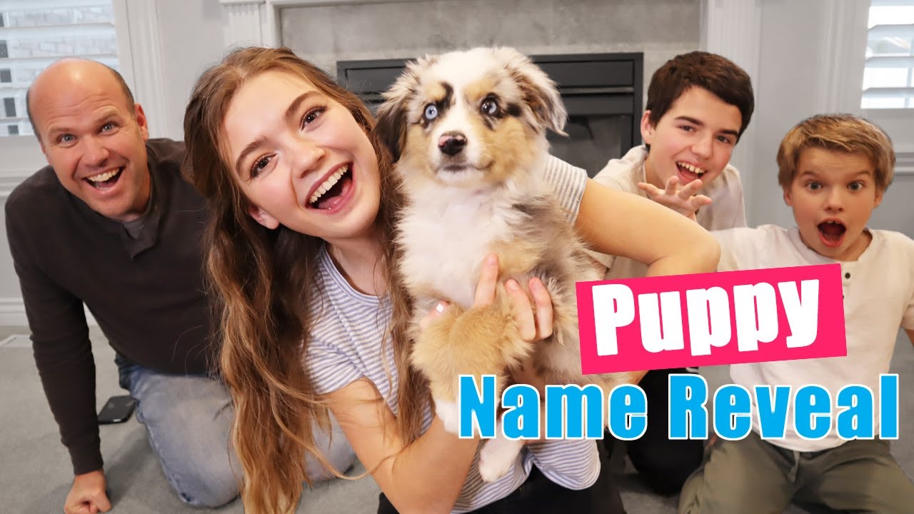 Naming My Puppy! Big Surprise Puppy Name Reveal!