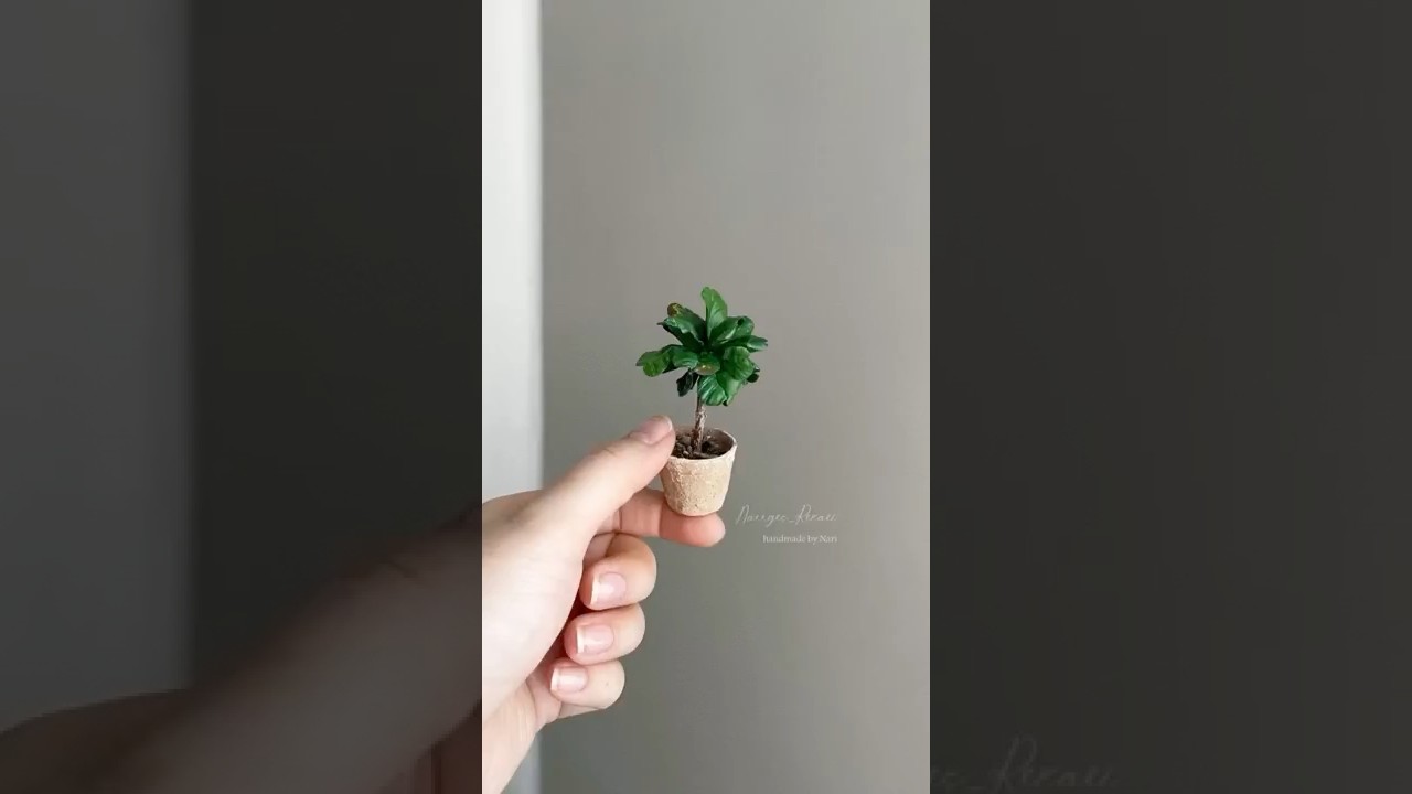 mini plant 🪴 #shorts