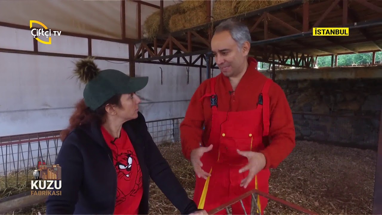 Küçükbaş Hayvanlarının Refahı - KUZU FABRİKASI / Çiftçi TV