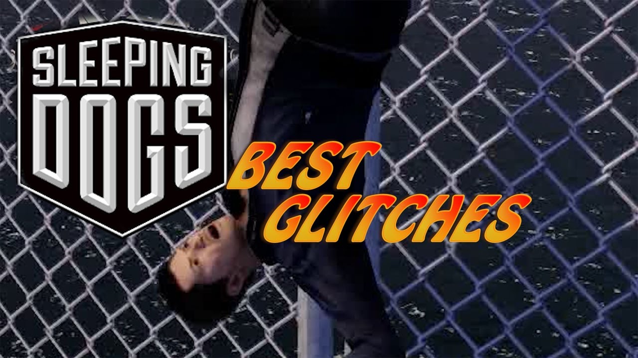 Sleeping Dogs Best Glitches