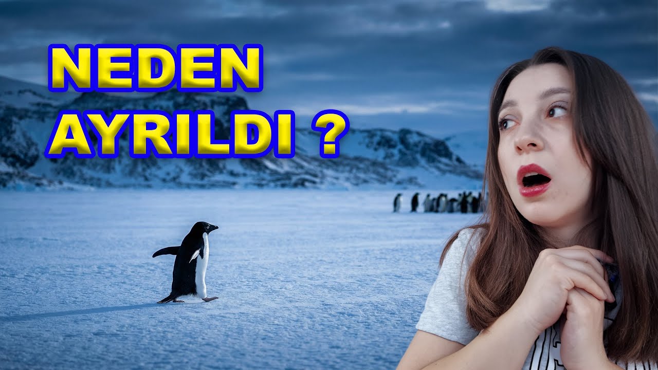 SÜRÜYÜ TERK EDEN PENGUEN 
