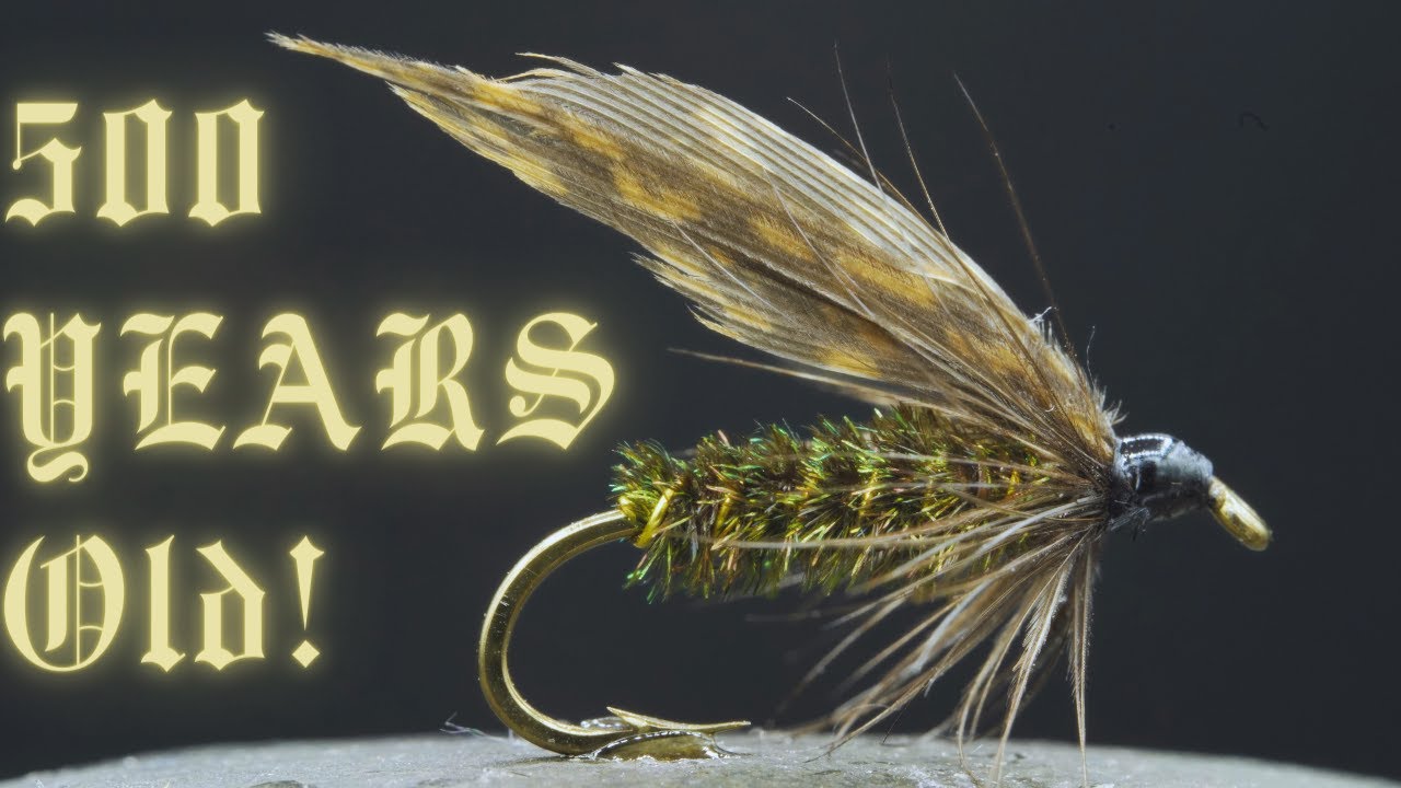 504 Year OLD Fly STILL Catches FISH!