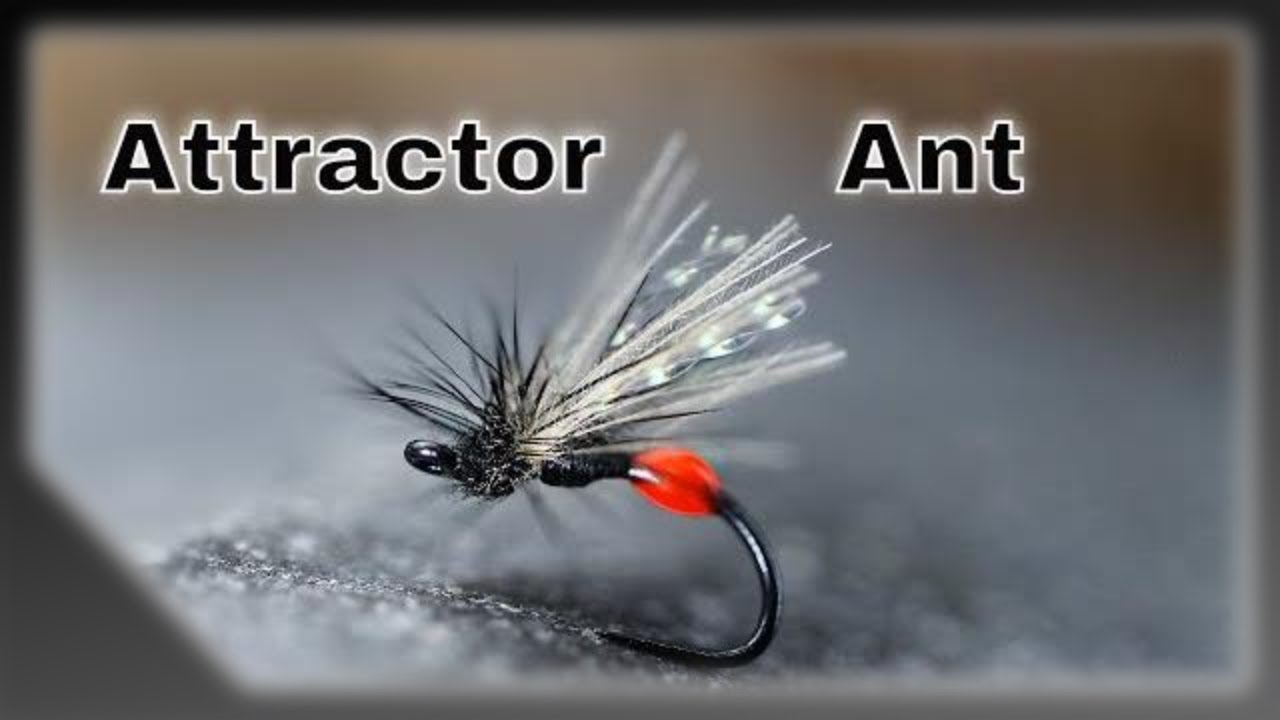 Tying an attractor Ant dry fly pattern.