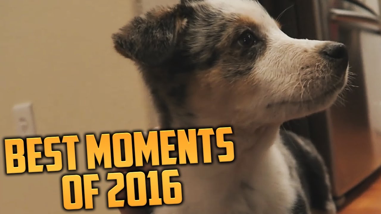 THE BEST MOMENTS OF 2016! (Ultimate Gaming Recap Montage)