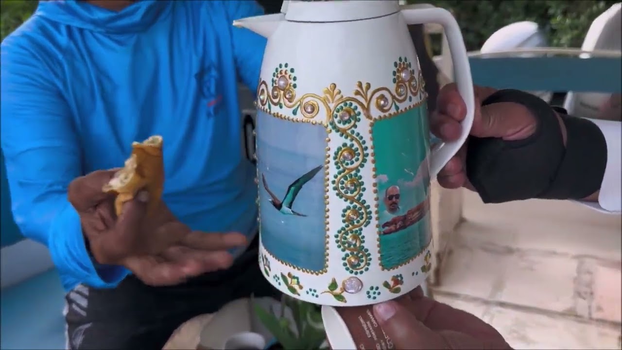 فرسان دانة البحر الأحمر
