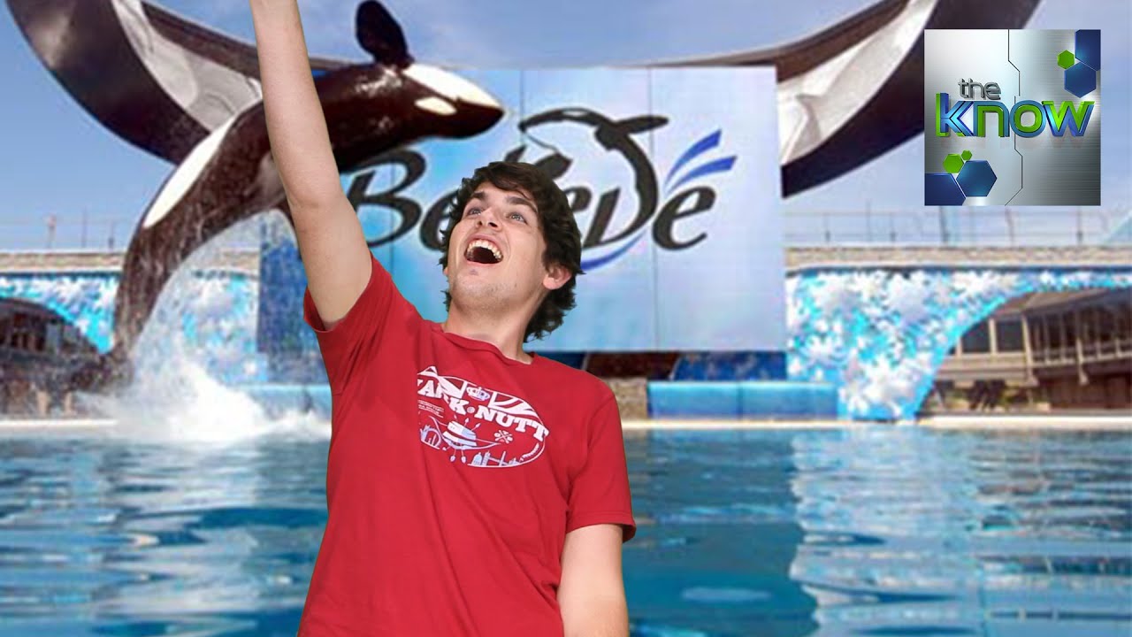 Sea World Admits Blackfish Documentary Hurt Business - The Know