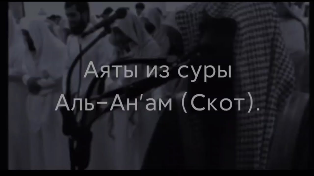 Шейх Мухаммад Аль-люхайдан. Аяты из суры Аль-Ан'ам (Скот)