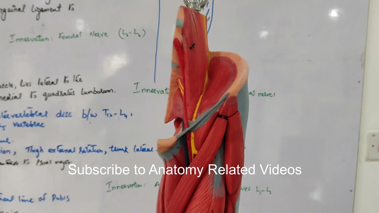 Subscribe to the Channel# Dr. Aqil Shah