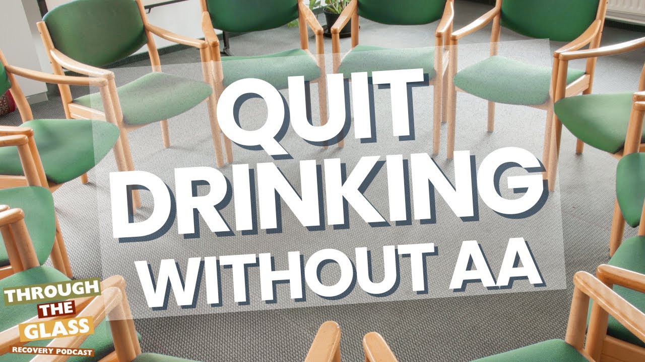 E169 | How To Quit Drinking Without Going to AA