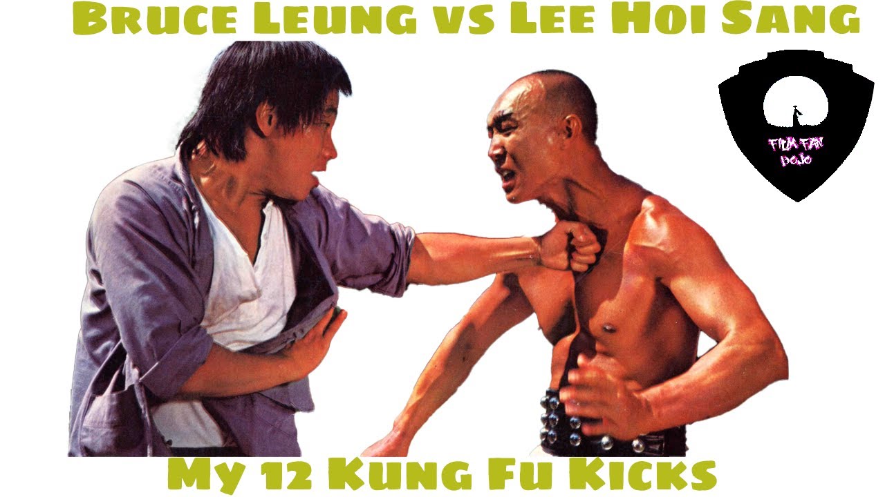 Bruce Leung  vs Lee Hoi Sang | Kung Fu Fight Scenes