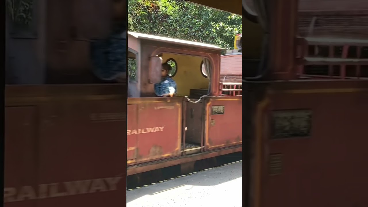All aboard Animal Kingdom&rsquo;s Wildlife Express! #shorts #disney # trains