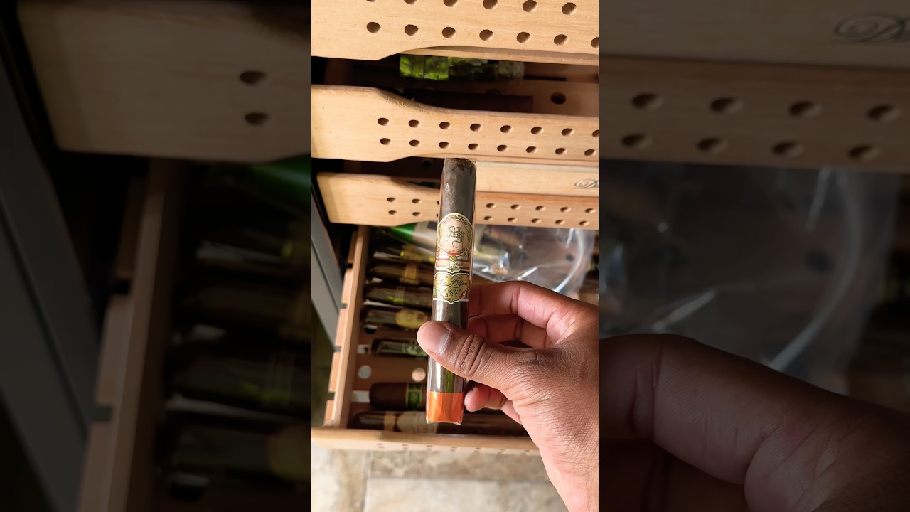 CIGAR ASMR | 🍂💨 My Father Le Bijou 1922 💨 #shorts #asmr #cigar #cigarsociety