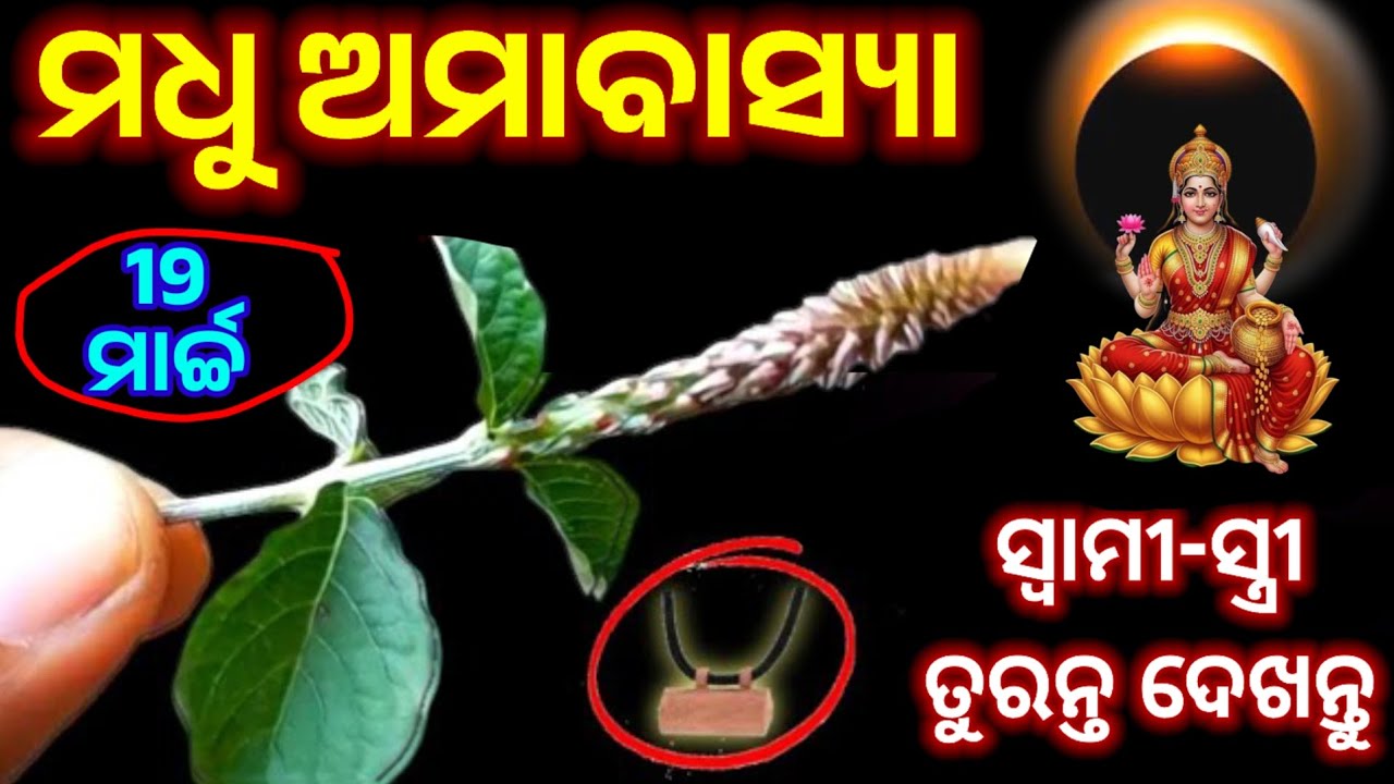 19 ମାର୍ଚ୍ଚ ମଧୁ ଅମାବାସ୍ୟା ଦିନ ଘରକୁ ନେଇ ଆସନ୍ତୁ ଏହି ଗଛର ଚେର/madhu amavasya 2026