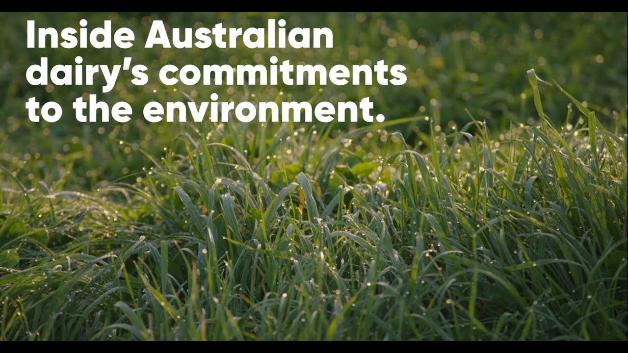 Inside the Australian dairy commitments to the environment