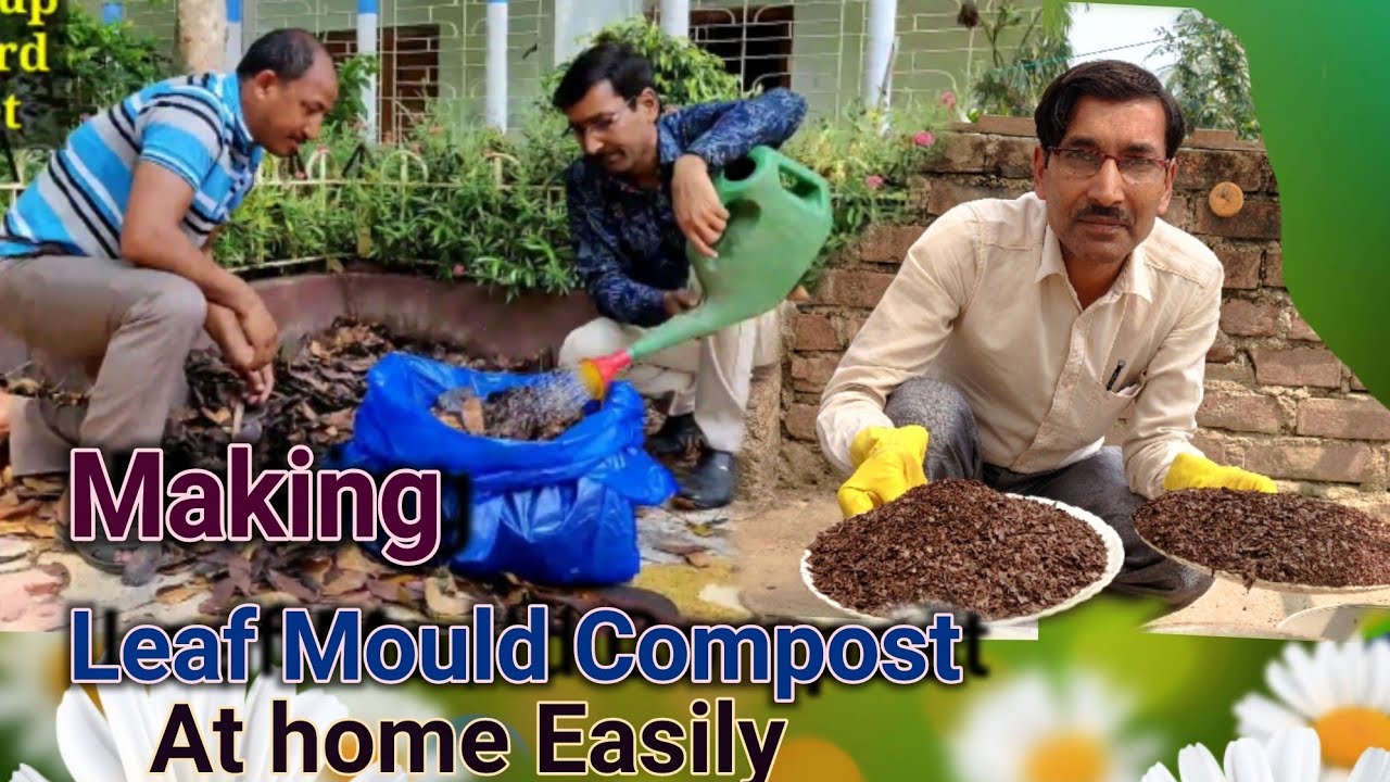 How to make leaf mould Compost at home Easily
