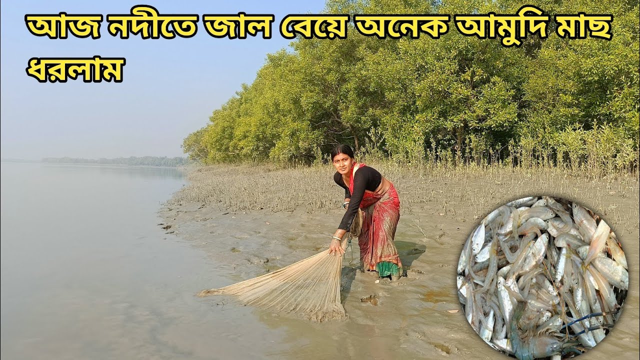 ভয়ংকর জঙ্গলের পাশে গাড়ল নদীতে জাল বেয়ে অনেক মাছ ধরলাম ll Nandita Sundarban life 