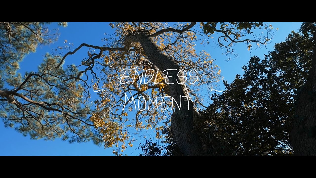 Coconut - Endless Moment (official video)