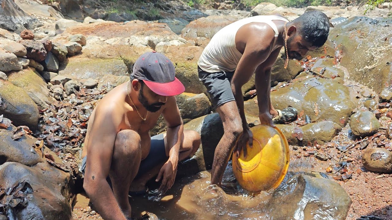 डोह उपसून मासेमारीची पद्दत , कोंड उपसून पकडले मासे | Traditional fishing in kokan @TejaGurav