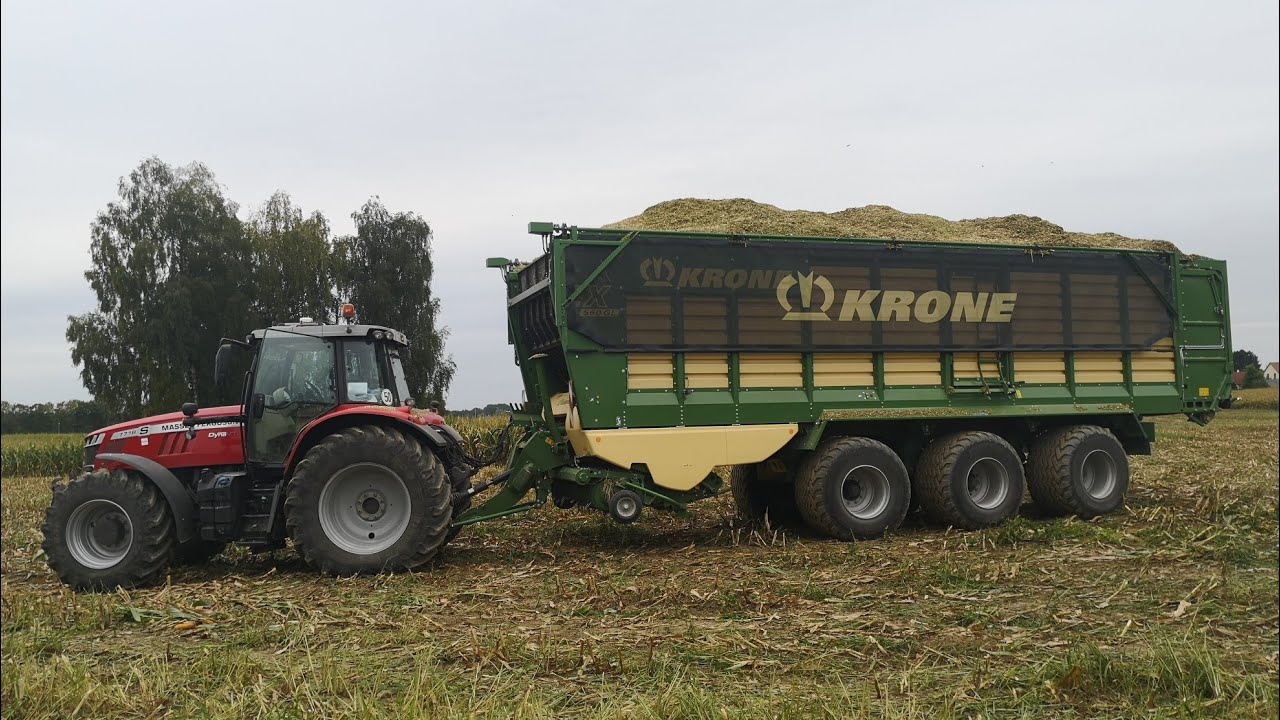 Maishäckseln / Mais Fahren mit MF 7718 und einem Krone ZX 560 GD / Teil 1