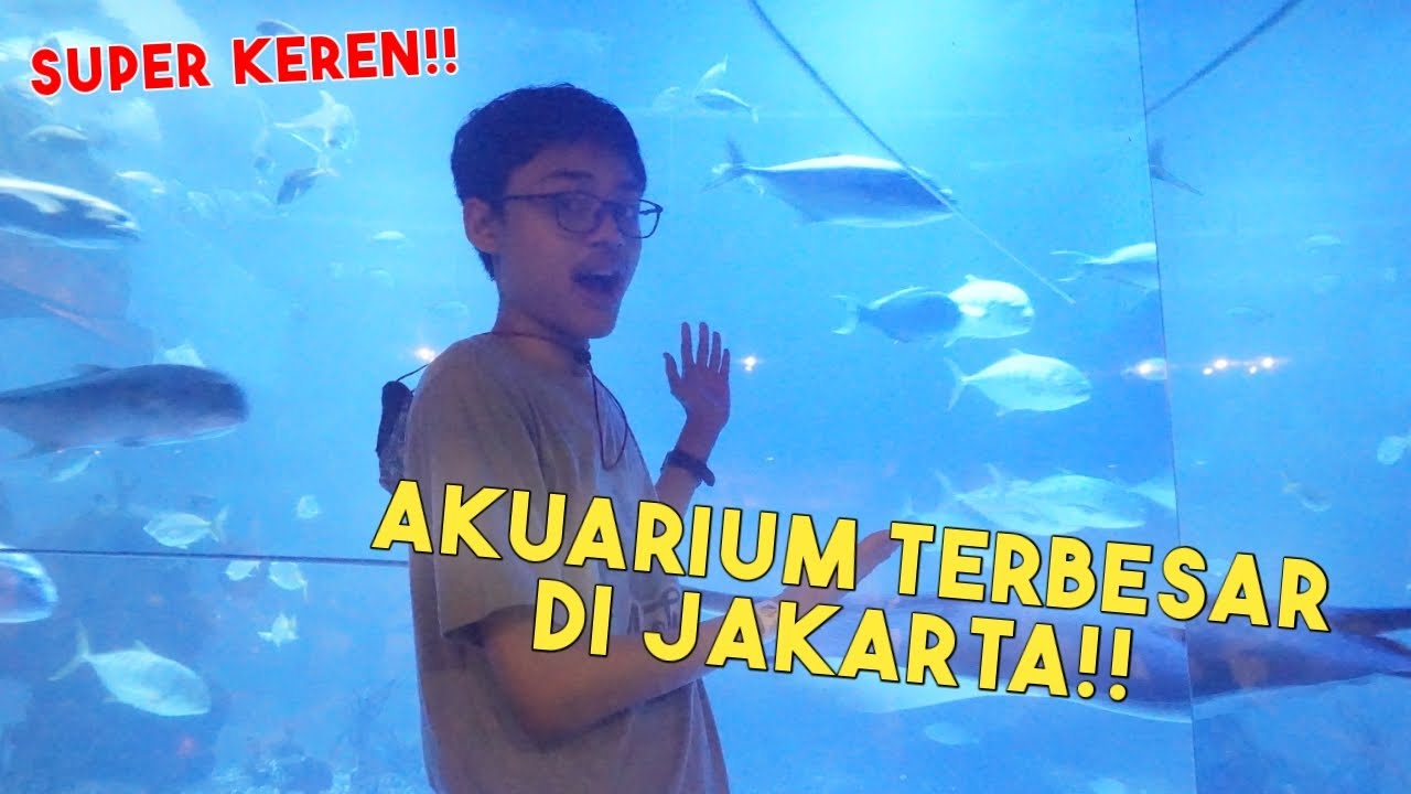 AKUARIUM RAKSASA DI DALAM MALL!! SUPER KEREN!!