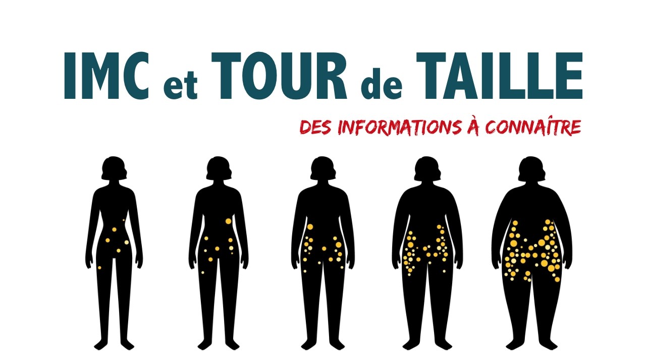 IMC et TOUR de TAILLE: des informations à connaître!