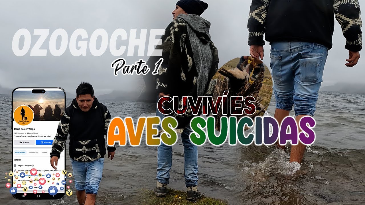OZOGOCHE Y LOS CUVIVÍES SUICIDAS | Parte 1| Darío Xavier|