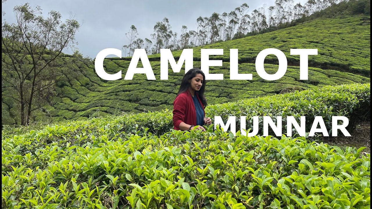 Camelot Resort Munnar | Extreme Climate? | Munnar Letchmi Estate