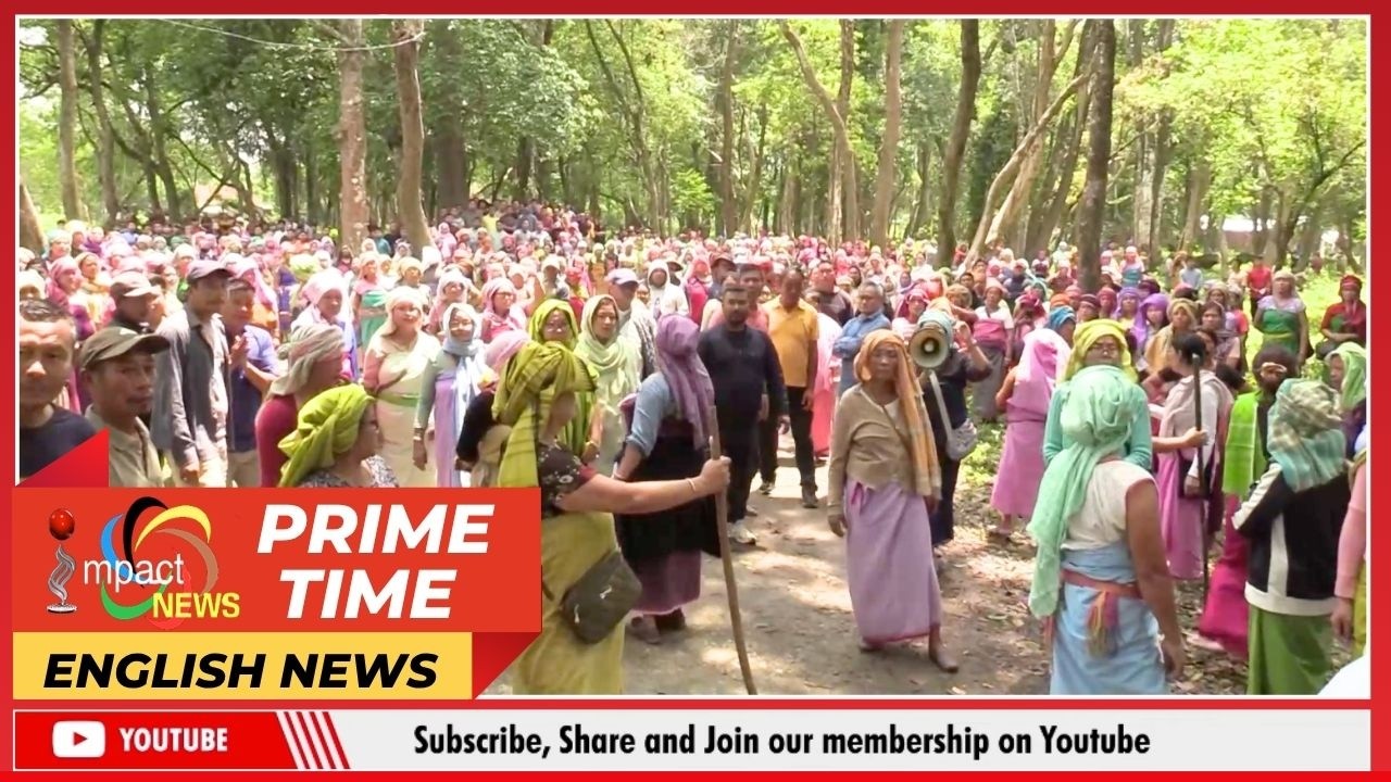 IMPACT NEWS ENGLISH BULLETIN  | 15 APR 2026
