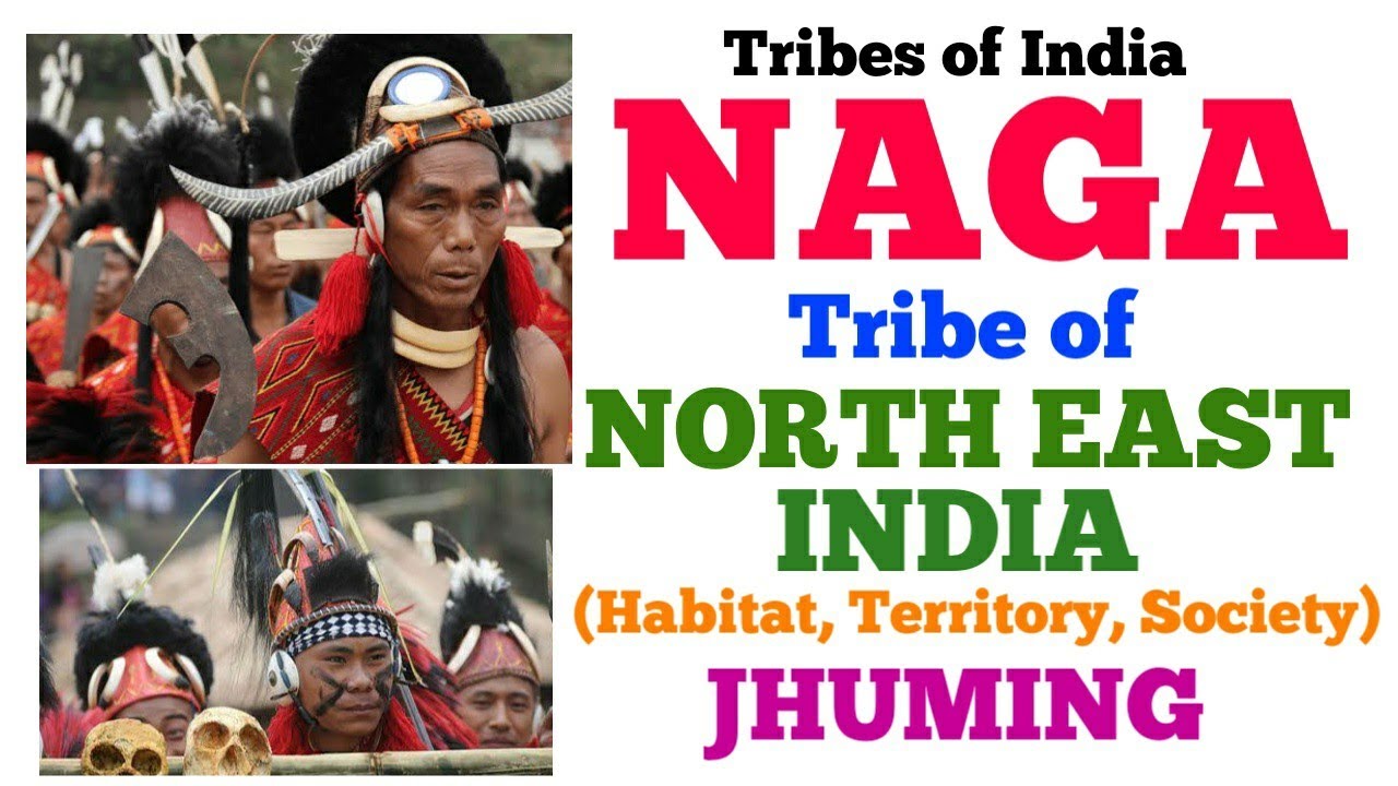 Naga Tribe of North East India | Nagas | Jhuming Cultivation | In Hindi