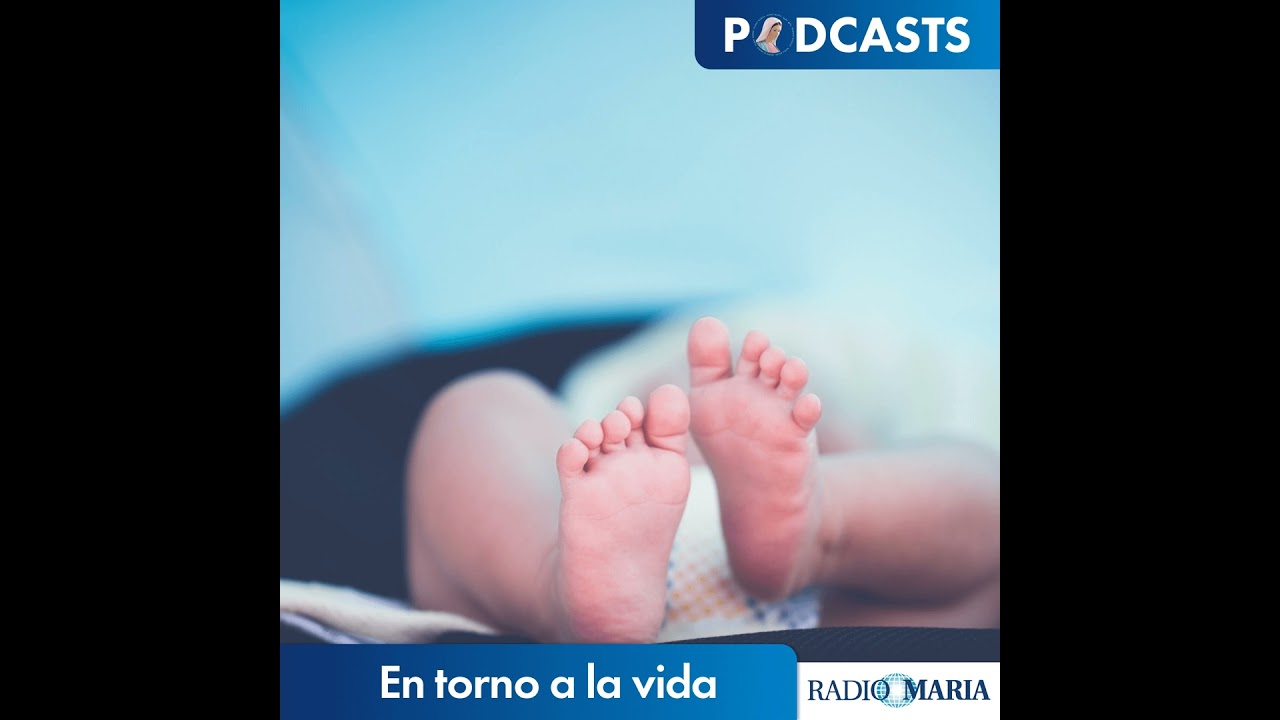 En torno a la vida 11/02/26