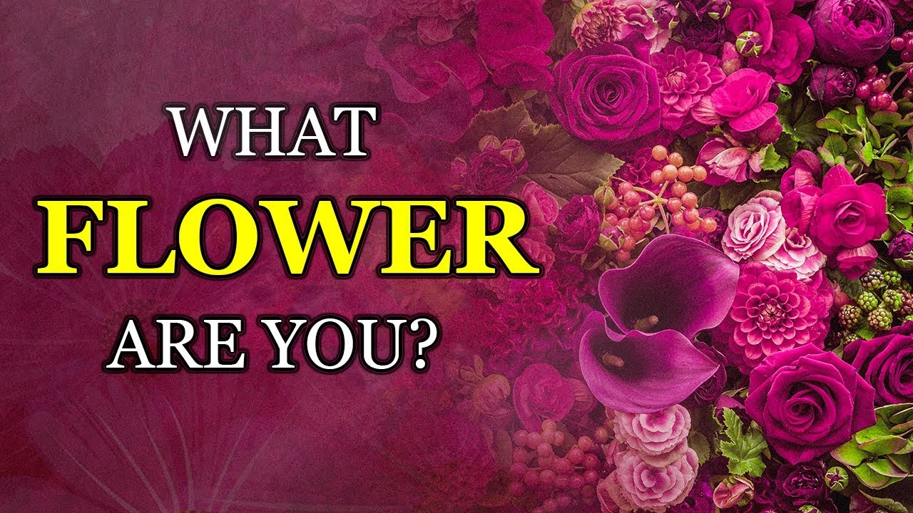 Which FLOWER Best Describes Your Personality?