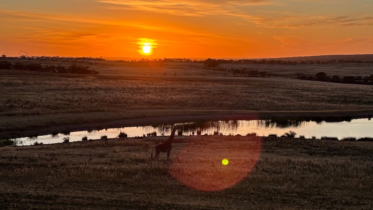 Monarto Safari Resort & Park 