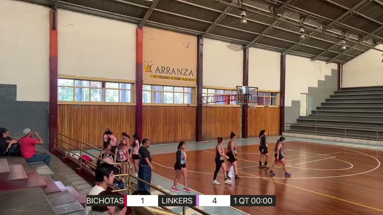 Linkers vs Bichotas