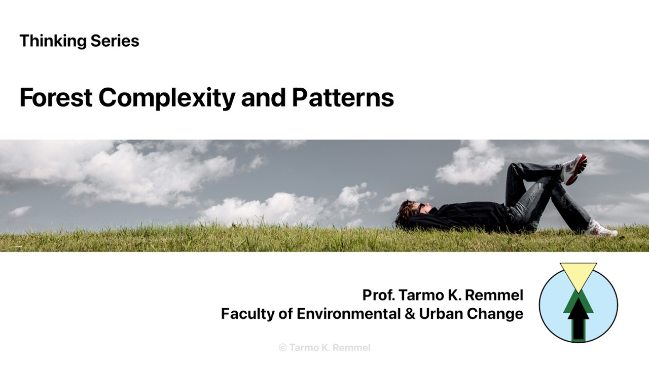 Thinking Series: Forest Complexity and Patterns