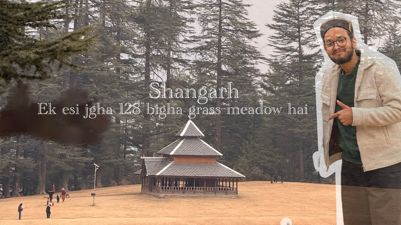 Shangarh Jaha 128 Bigha Grass Meadow Hai 😲|| अपने आप में धरती पर स्वर्ग || Himachal pardesh india 