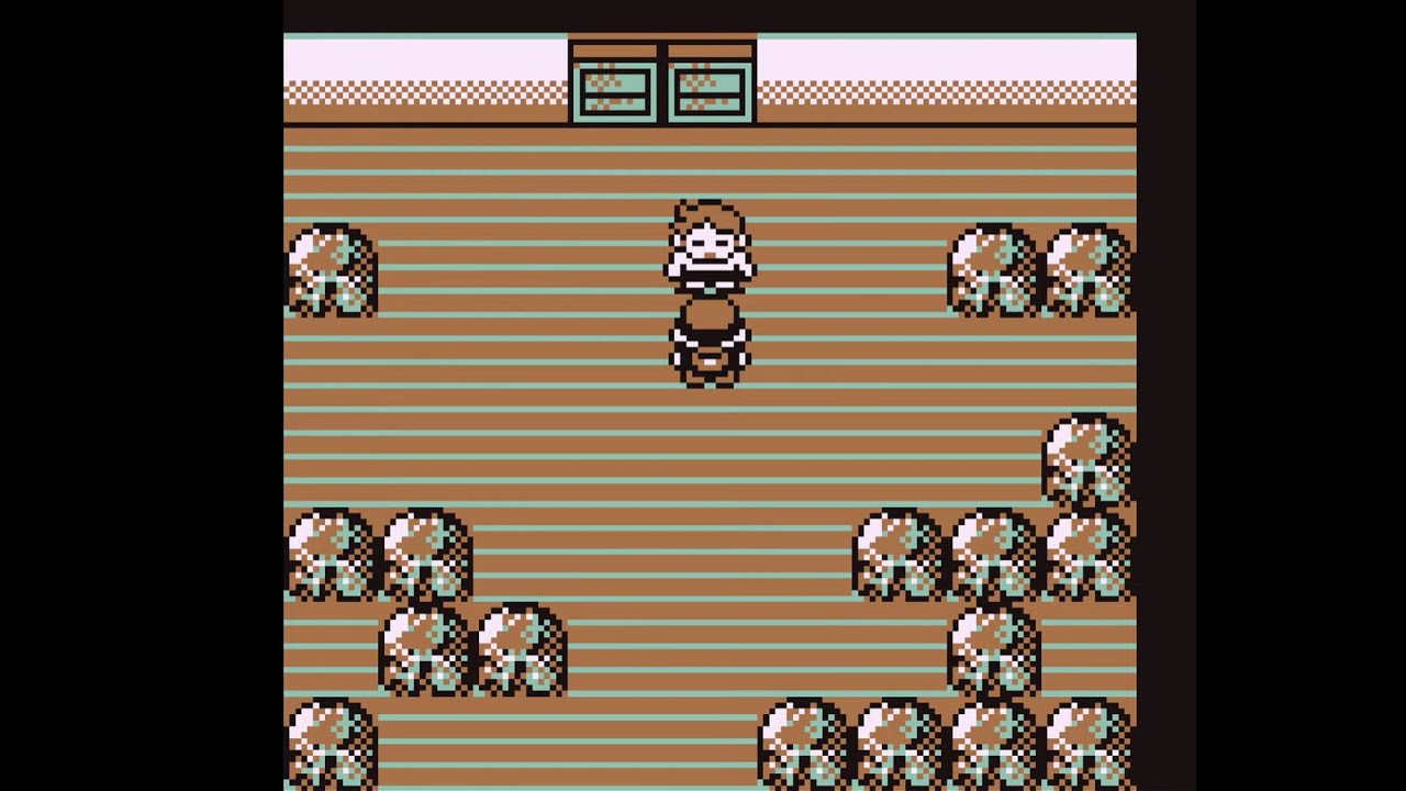 Pokémon Red - Elite Four 2 Bruno (Fighting)